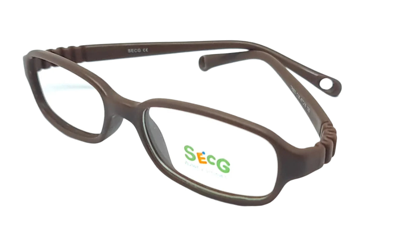 SECG