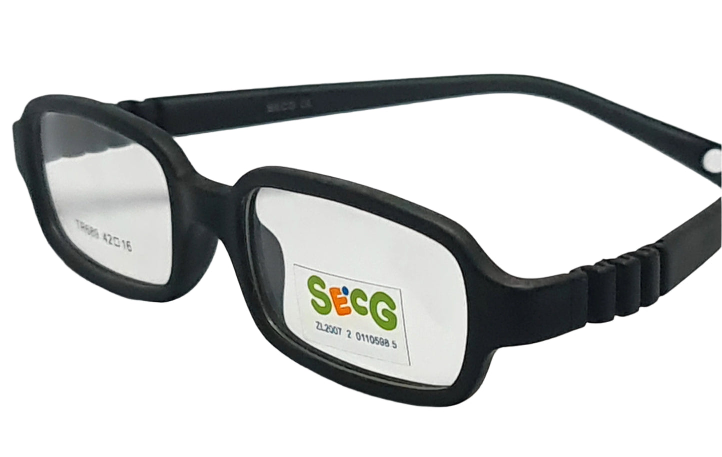 SECG