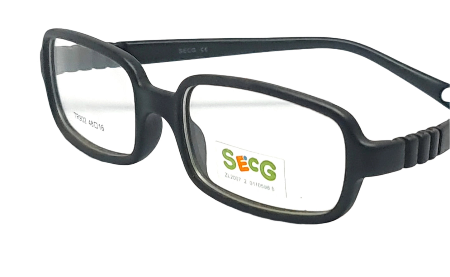 SECG