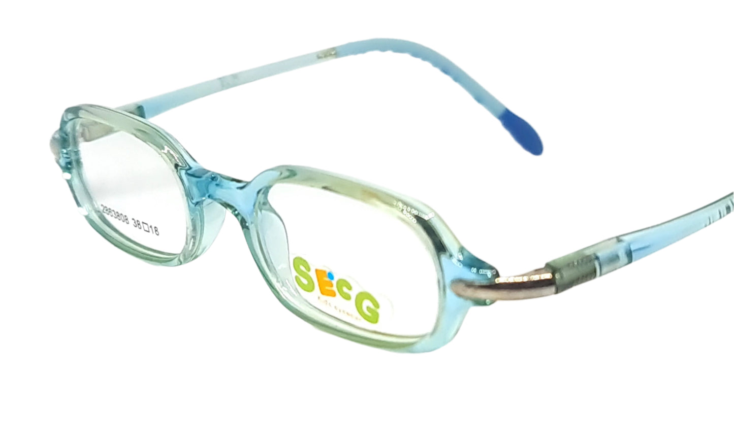 SECG