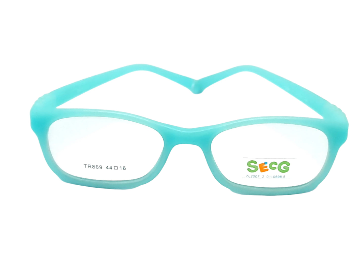 SECG