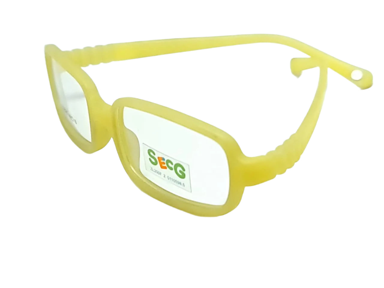 SECG