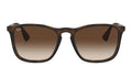 RAY BAN