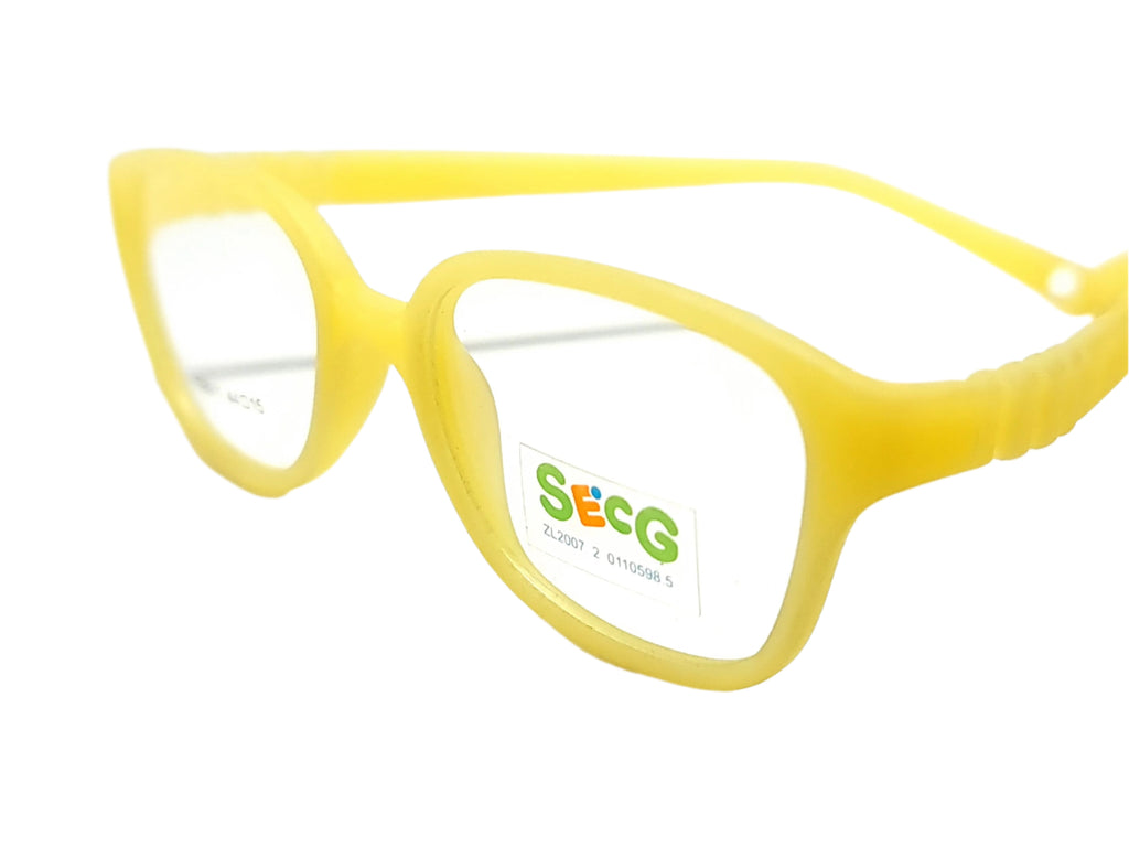 SECG