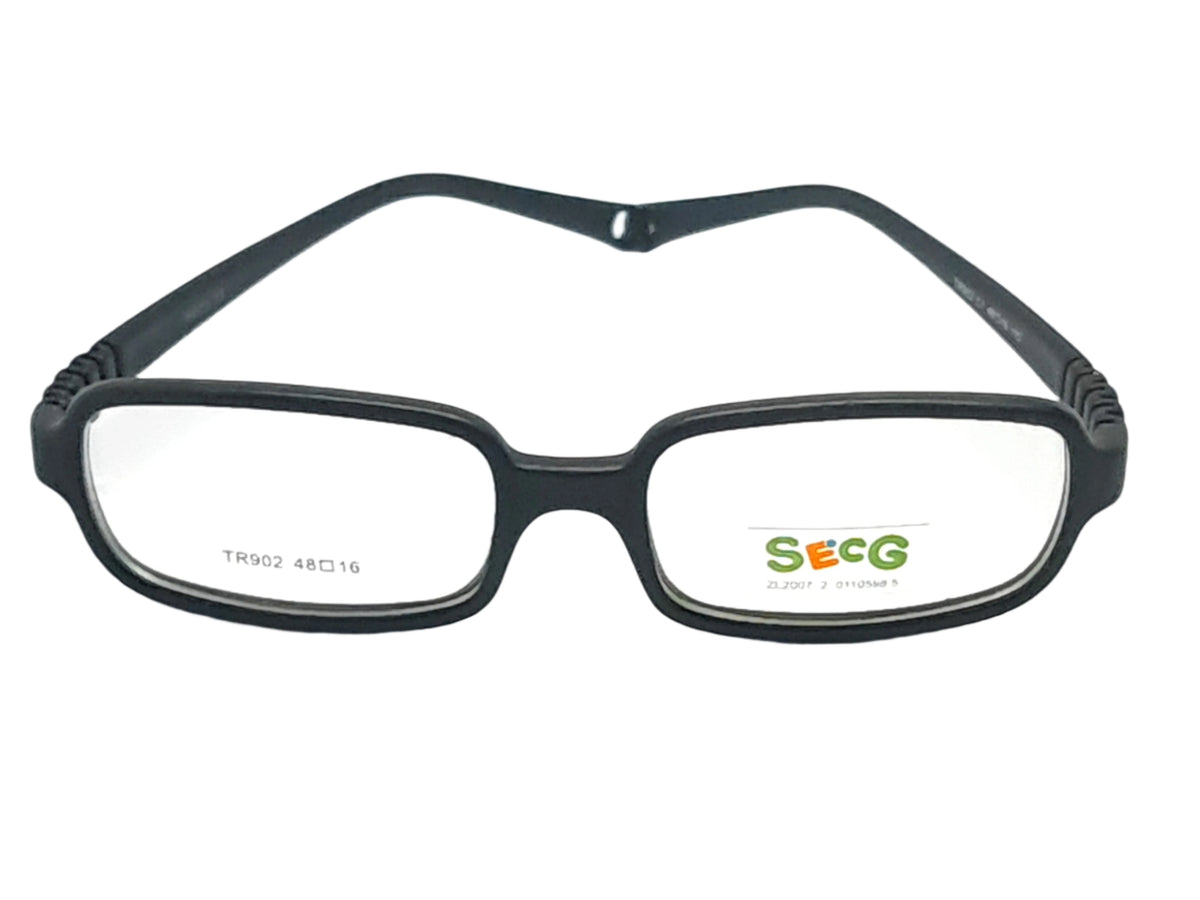 SECG