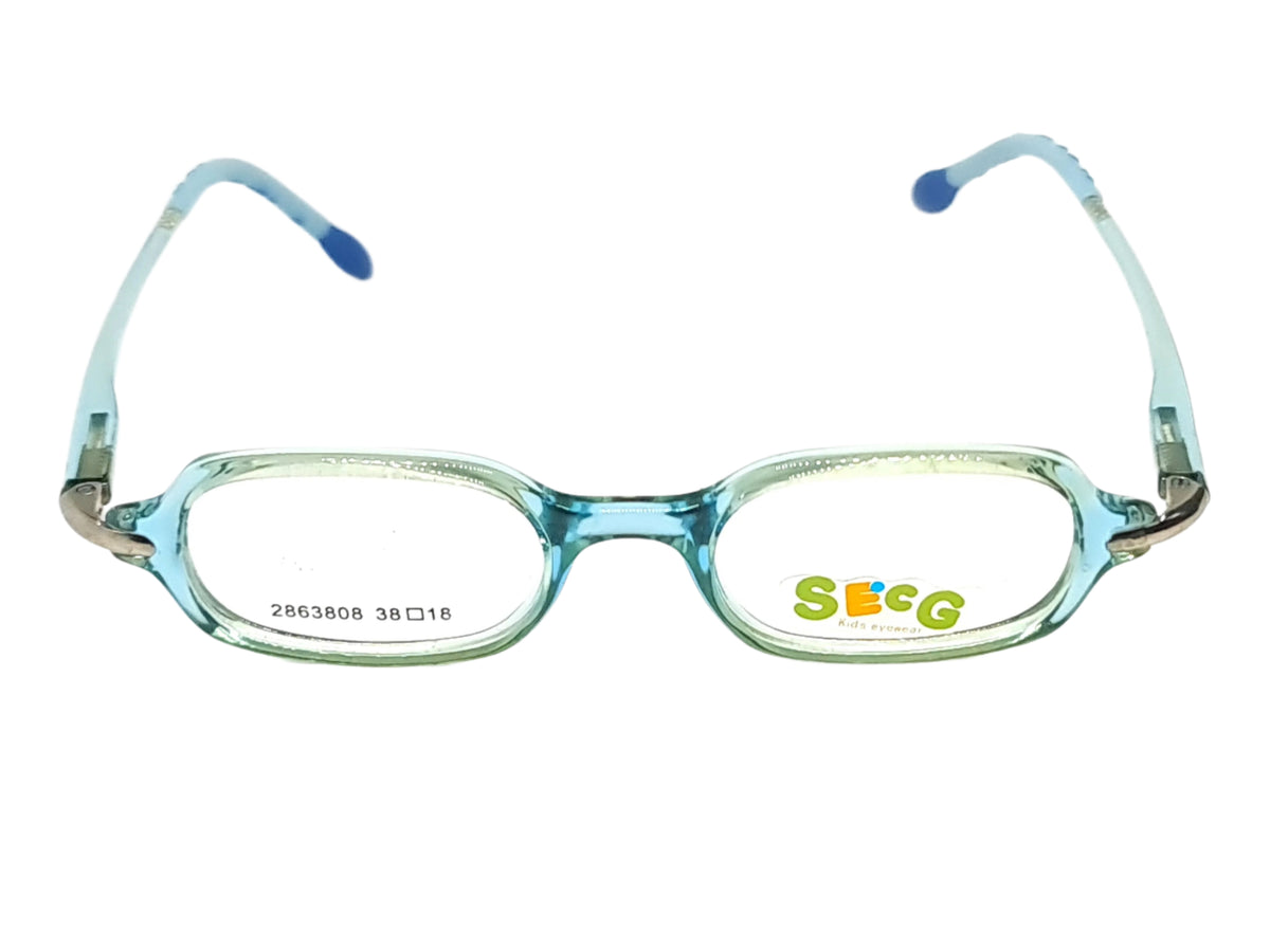 SECG