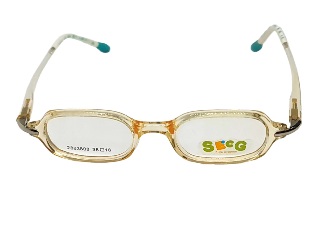 SECG