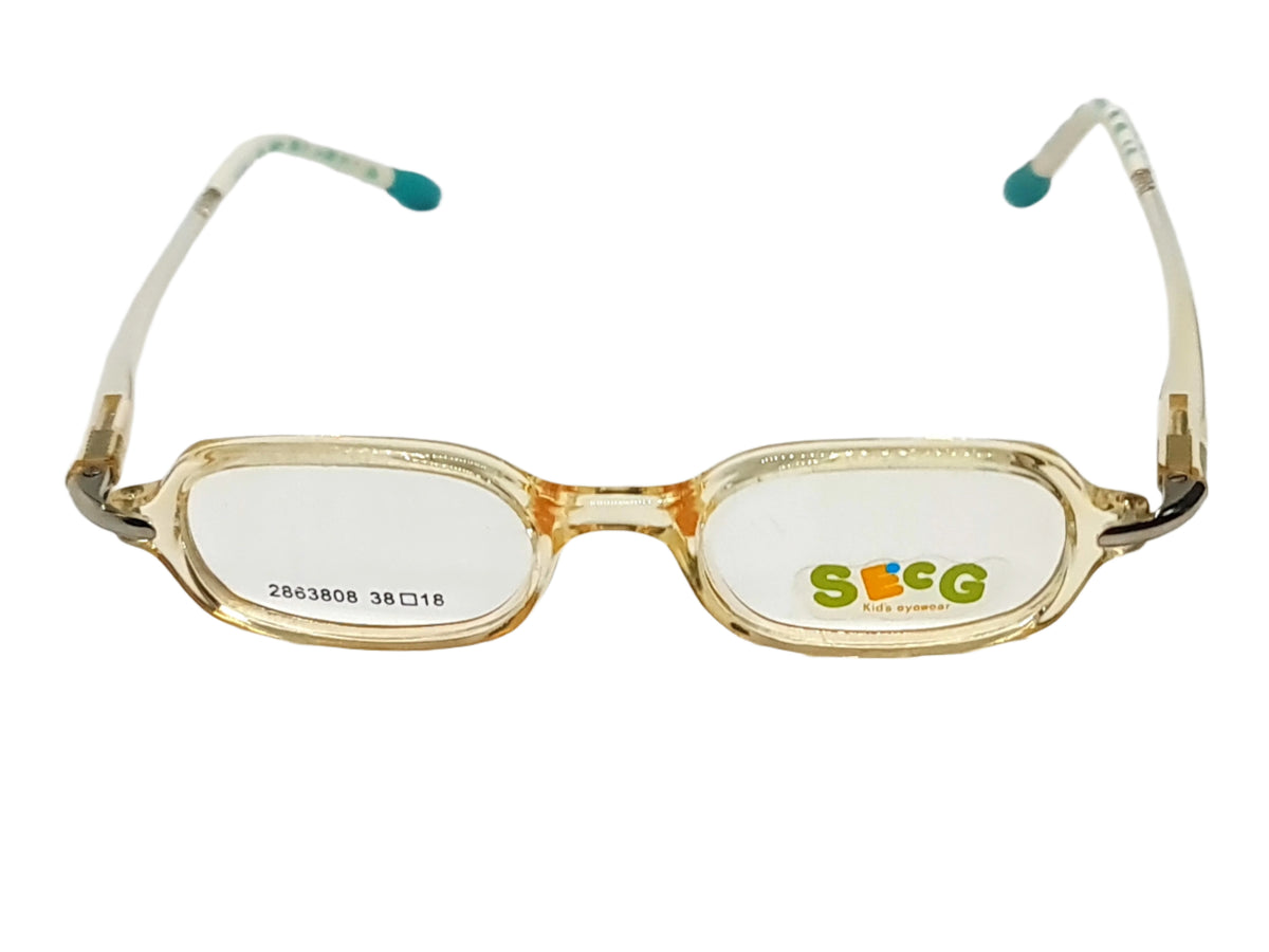 SECG